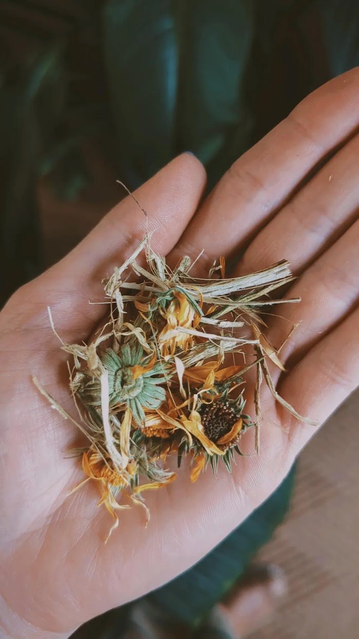 Autumn Equinox Herbal Tea - smt2