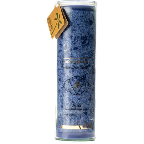 Abundance Chakra Eco Palm Jar Candle