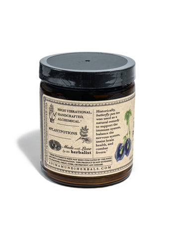 Butterfly Pea Flower | Nervous System Balance