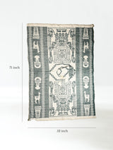 Hooded Artisan Andean Poncho - Puno | txp0105-Sage