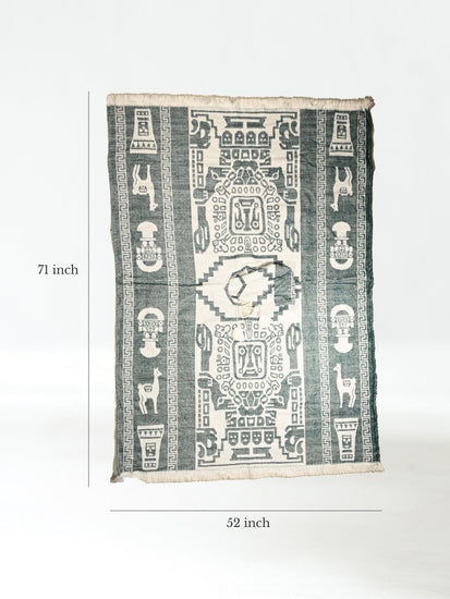 Hooded Artisan Andean Poncho - Puno | txp0105-Sage