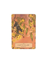 The Herbal Astrology Oracle Deck | dc36 | dc44