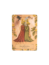 The Herbal Astrology Oracle Deck | dc36 | dc44