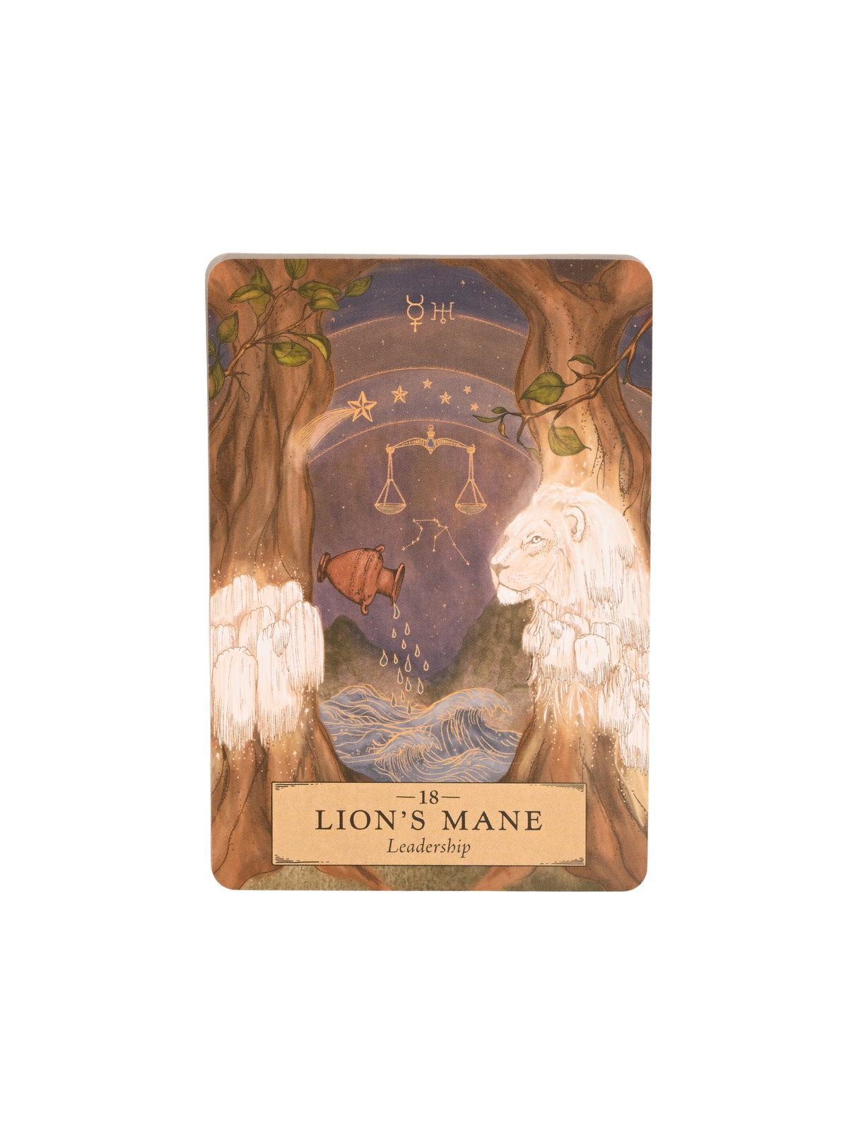 The Herbal Astrology Oracle Deck | dc36 | dc44