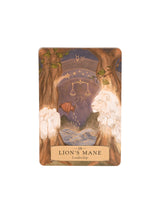 The Herbal Astrology Oracle Deck | dc36 | dc44