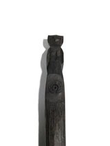 sis-Owl-Horseshoe-19