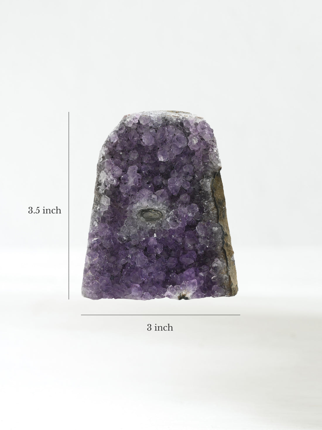 Amethyst Cluster Turtle