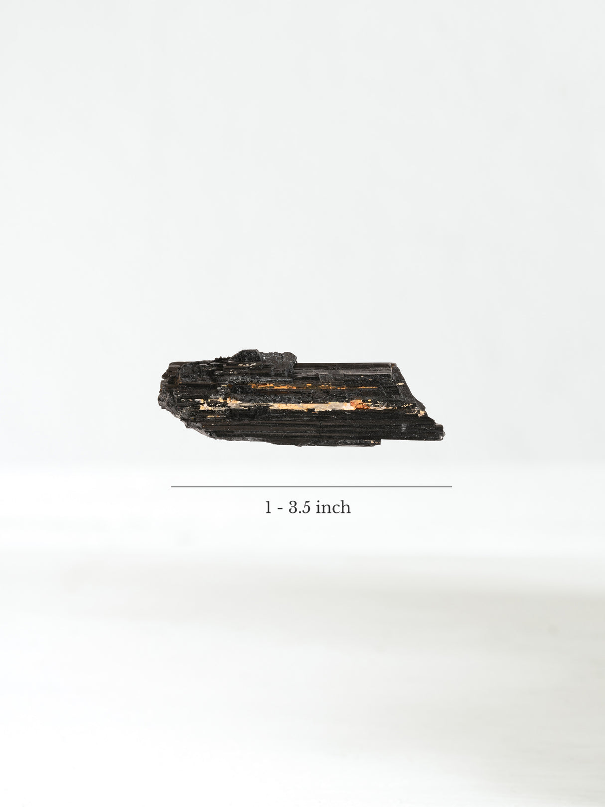 Cg22-Medium