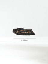 Cg22-Medium