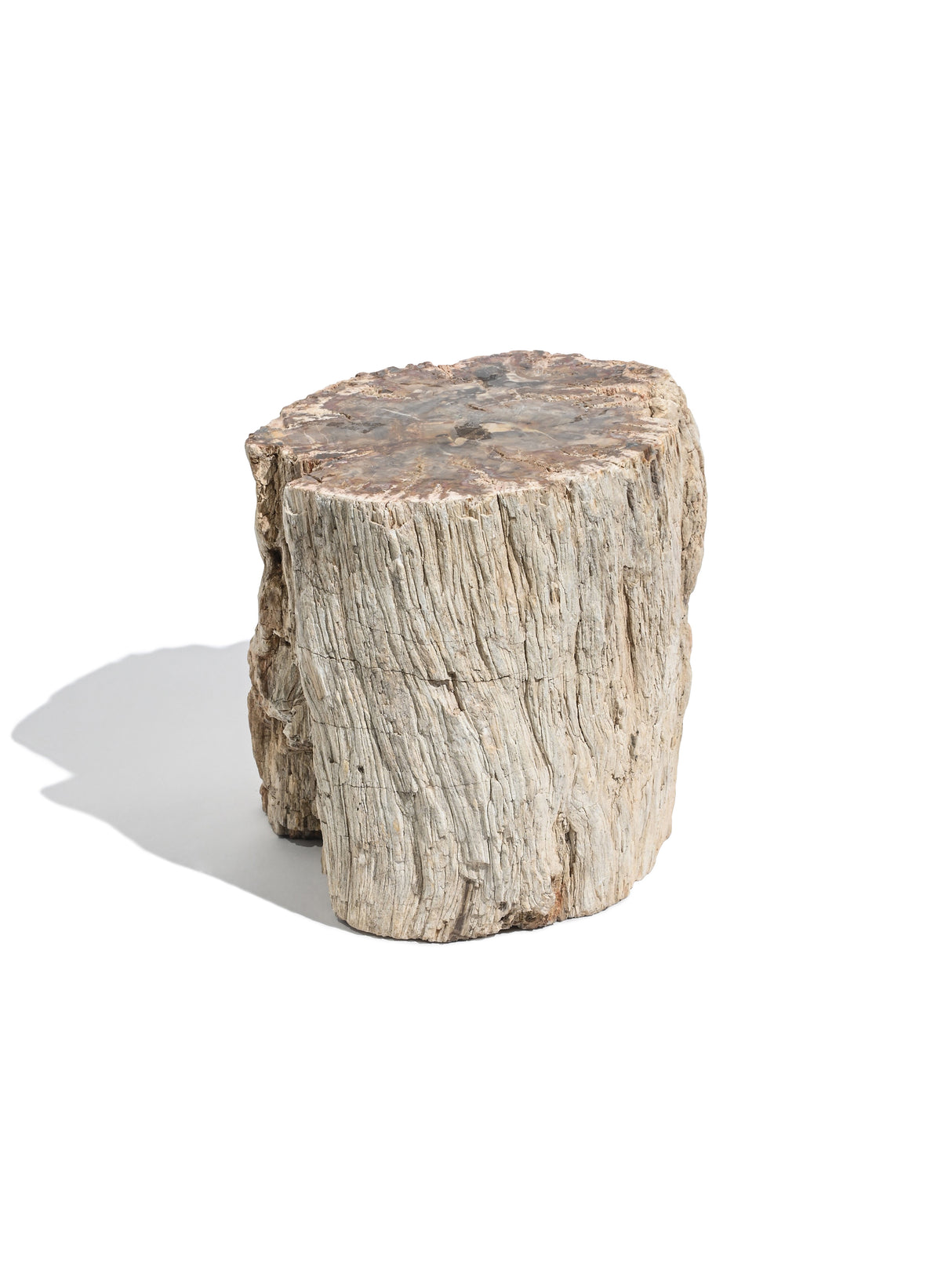 Petrified Wood Branches Large
