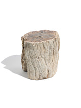 Petrified Wood Branches Large