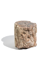 Petrified Wood Branches Large