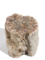 Petrified Wood Branches Large | Cg334