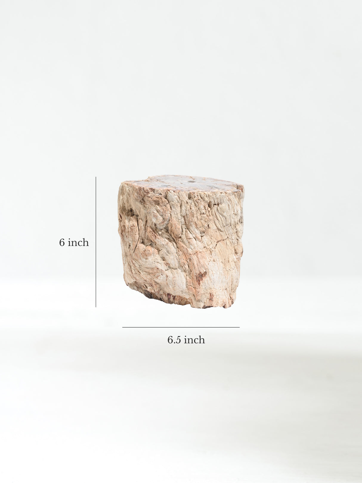 Petrified Wood Branches Large | Cg334