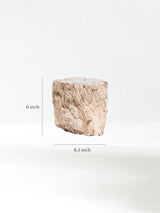 Petrified Wood Branches Large | Cg334