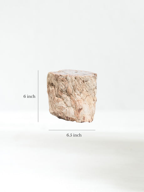Petrified Wood Branches Large | Cg334