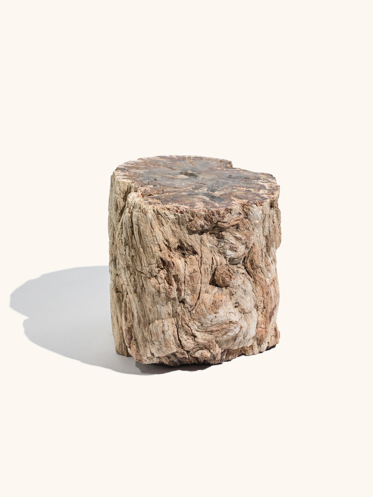 Petrified Wood Branches Large | Cg334