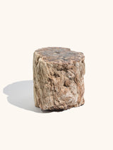 Petrified Wood Branches Large | Cg334