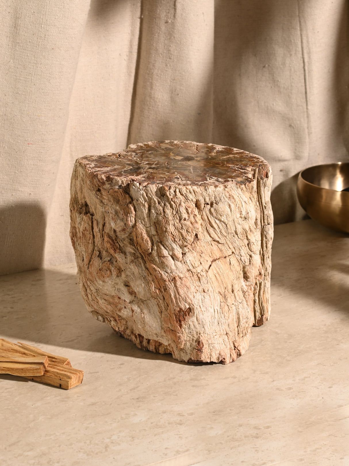 Petrified Wood Branches