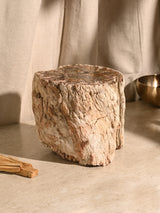 Petrified Wood Branches