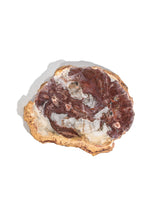 Petrified Wood Slabs Small 4 | Cg336