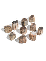 Petrified Wood Branches Small | Cg343
