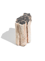 Petrified Wood Branches Small | Cg343