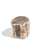 Petrified Wood Branches Small