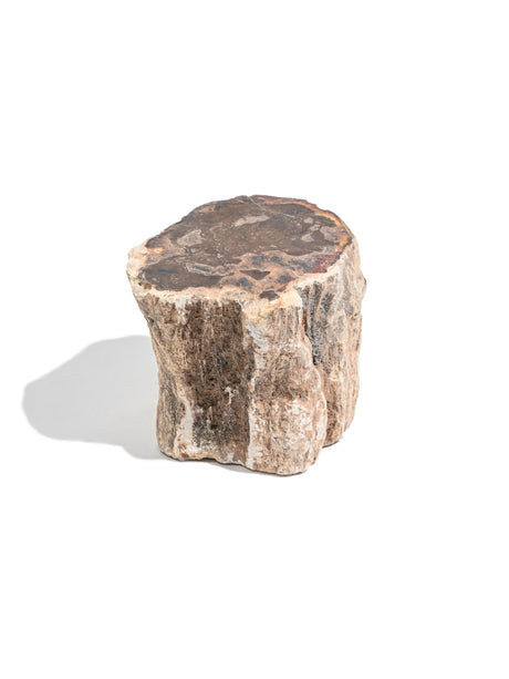 Petrified Wood Branches Small