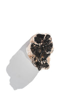 Petrified Wood Branches Small | Cg343