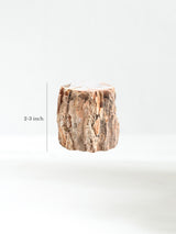 Petrified Wood Branches Small | Cg343
