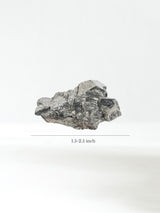 Pyrite Cluster Large | Cg421