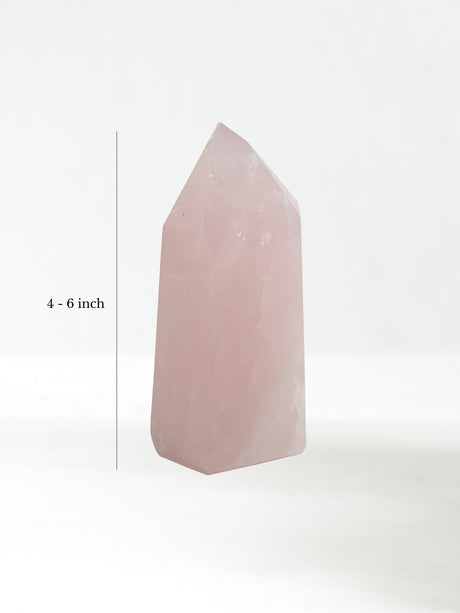 Rose Quartz Point | Cg43-Extra Large