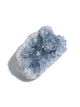 Celestite Cluster | Cg438