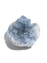 Celestite Cluster | Cg439