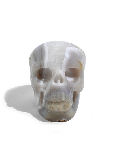 Druzy Agate Crystal Skull A | Cg691