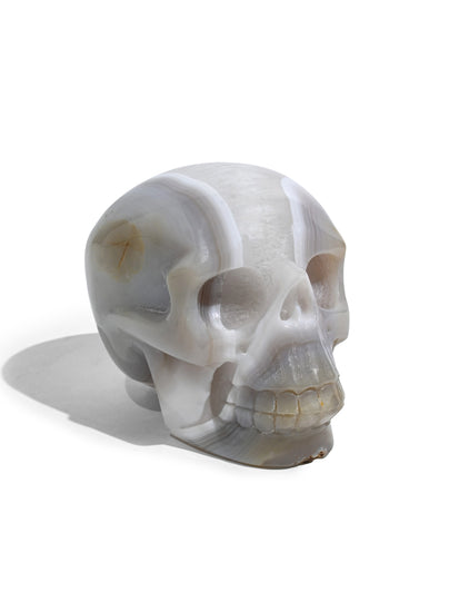 Druzy Agate Crystal Skull A | Cg691
