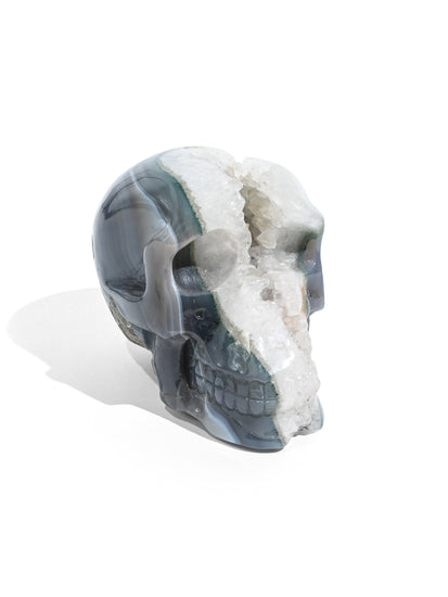Druzy Agate Crystal Skull H | Cg698