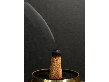 Palo Santo Cones & Pieces - 20 Cones