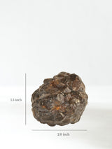 Prophecy Stone | Cg250