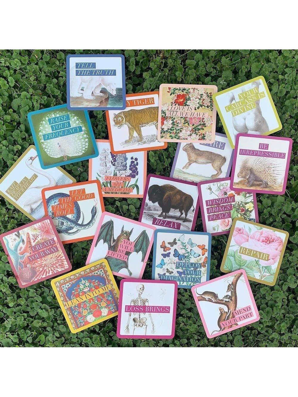 Divination Cards How Good Are You Willing To Let It Get Oracle Cards