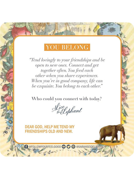 Divination Cards How Good Are You Willing To Let It Get Oracle Cards