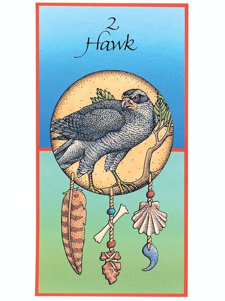 Medicine Cards: The Discovery of Power by Jamie Sams – Shamans