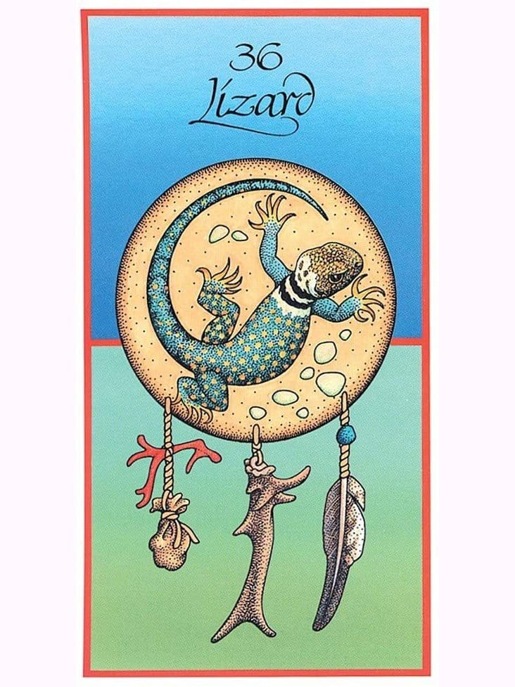 Divination Cards Medicine Cards: The Discovery of Power Through the Ways of Animals with Cards - Jamie Sams