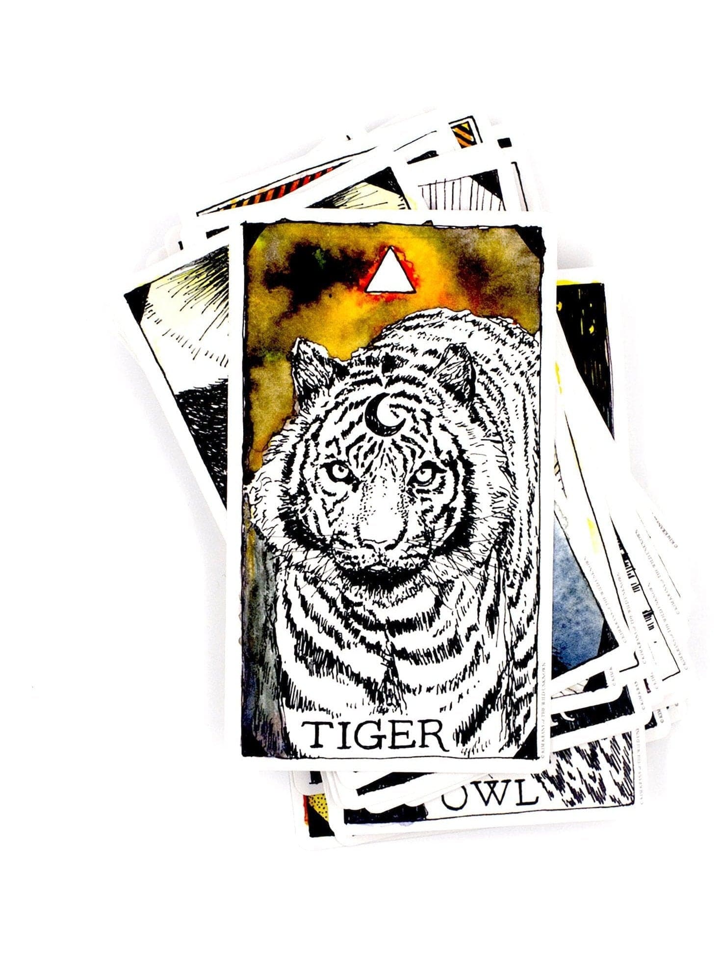 The Wild Unknown Animal Spirit Deck and Guidebook - Shamans Market