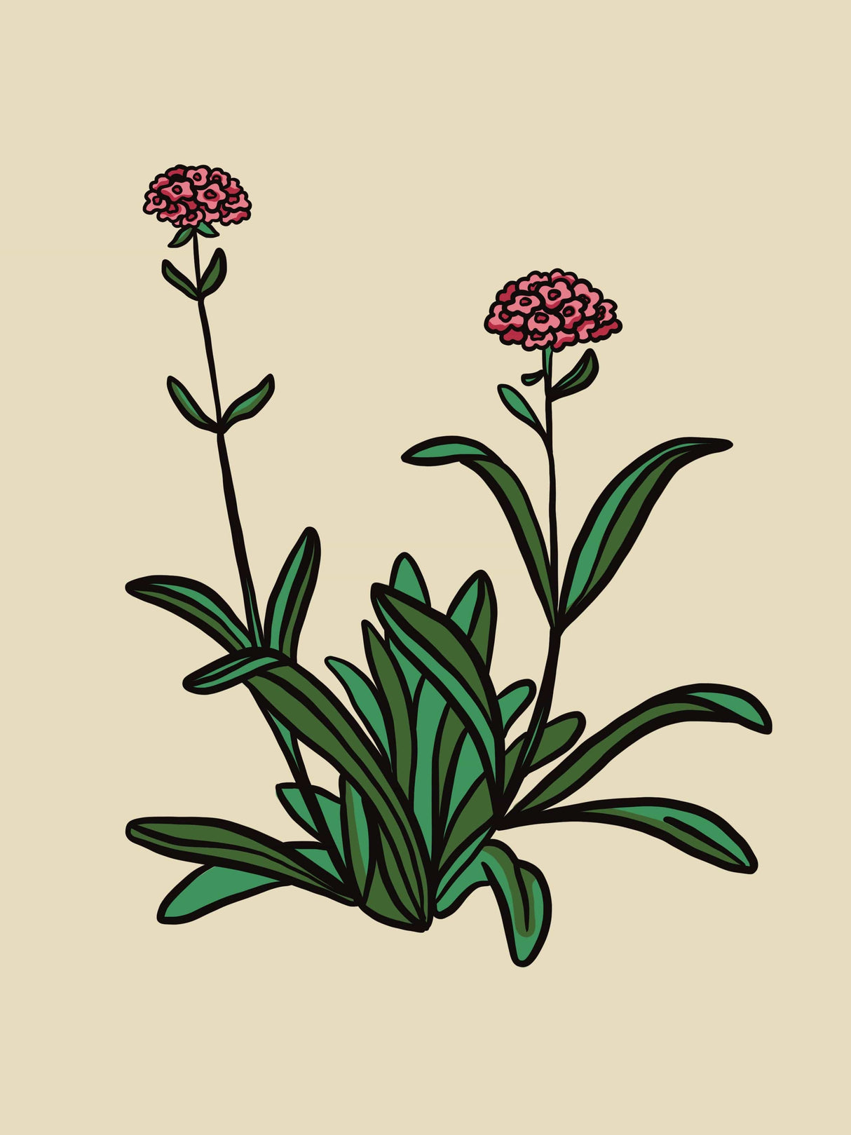 EO-10-15ml | EO-10-5ml