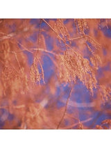 Flower Essences Flower Essence - Brow Chakra