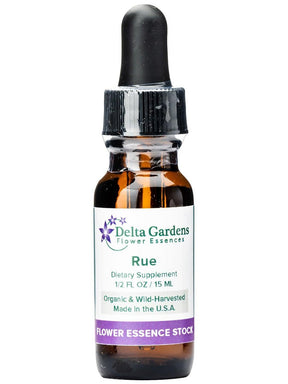 Flower Essences Flower Essence - Rue