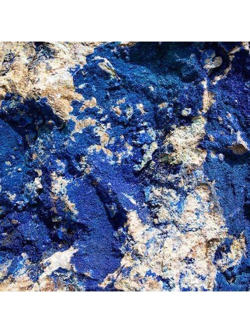 Flower Essences Flower Essence - Throat Chakra