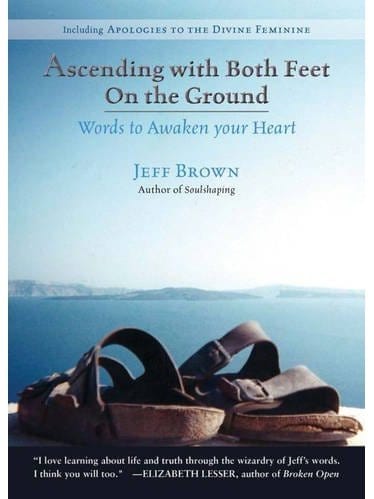 Healing Books Ascending with Both Feet on the Ground: Words to Awaken Your Heart